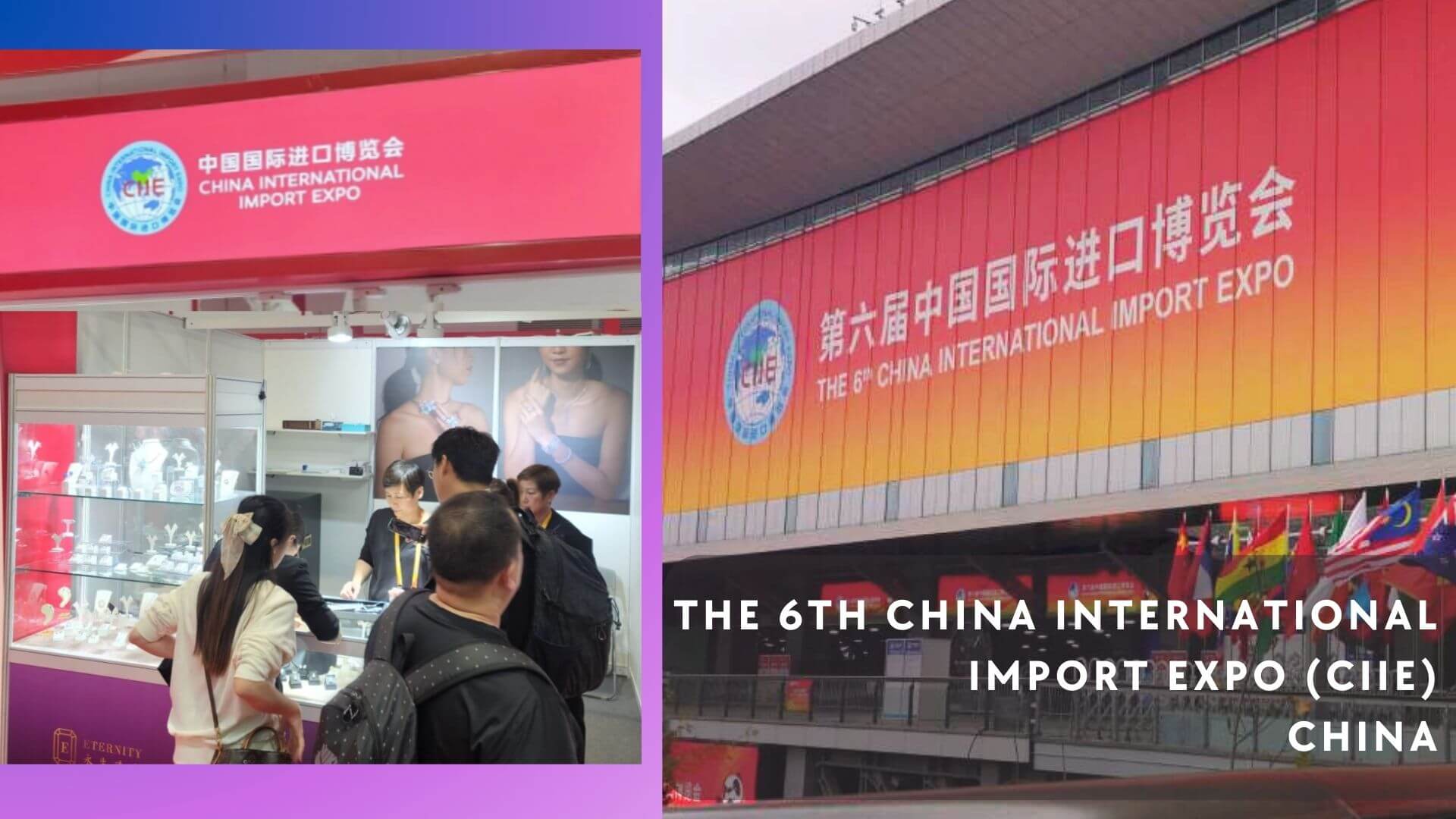 第六屆中國國際進口博覽會